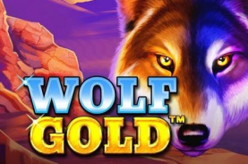 Wolf Gold