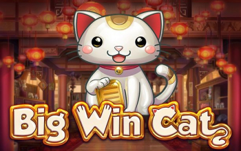 Big Win Cat slot van Play N GO