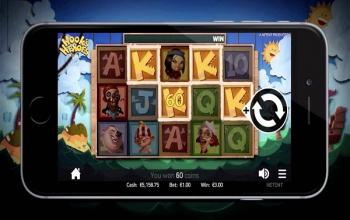 Genoeg mogelijkheden bij online casino