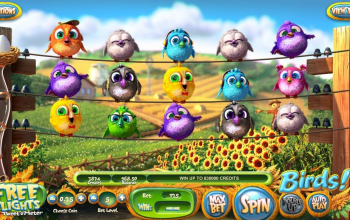 Nieuwe videoslot Birds online